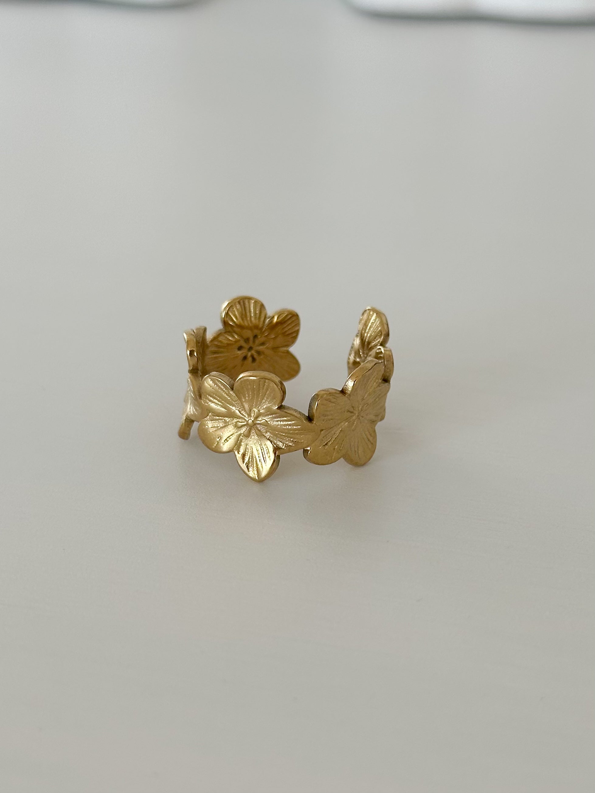 ANNA RING